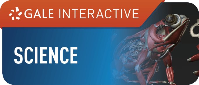 Gale Interactive
